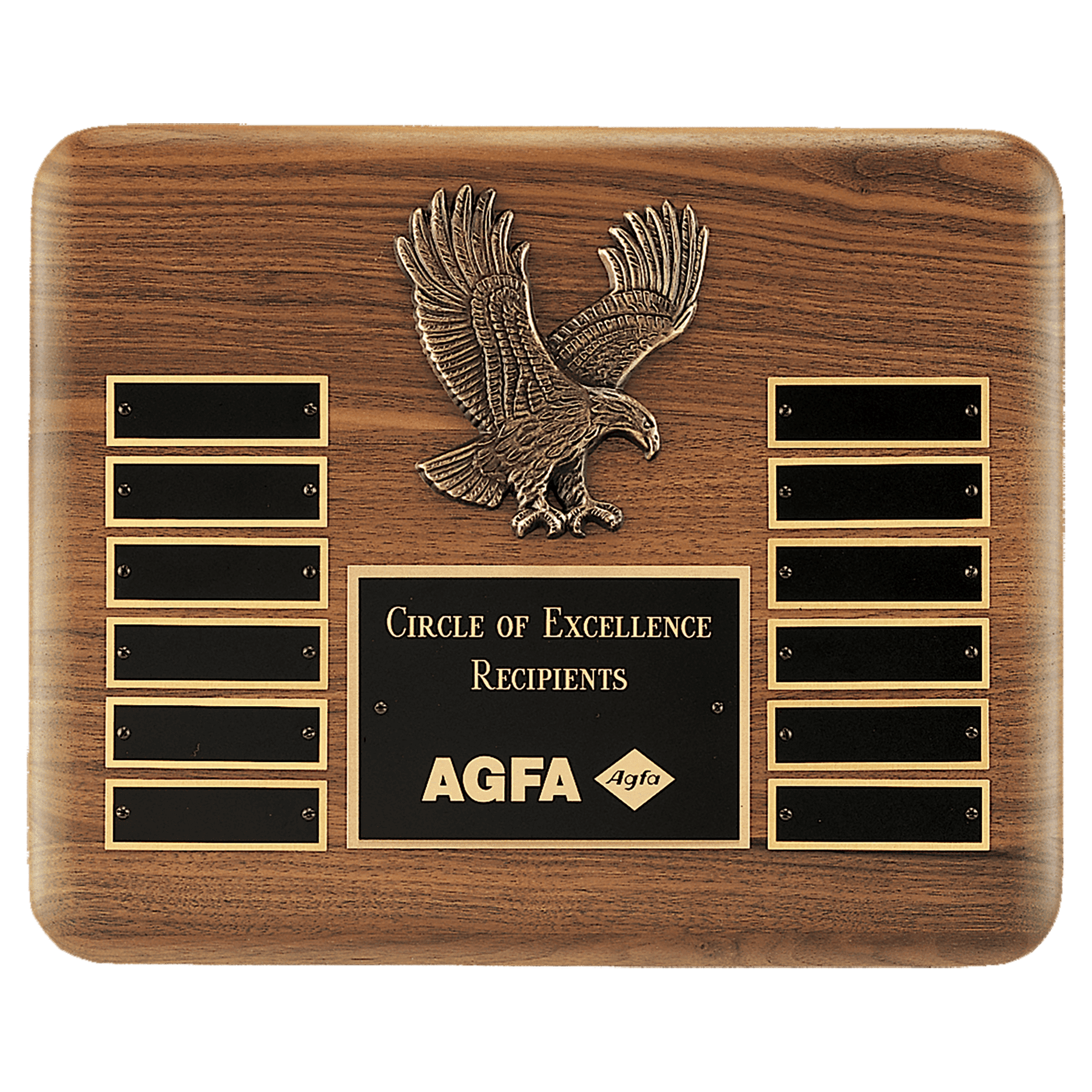 Solid American Walnut Plaque with Finely Detailed Antique Bronze